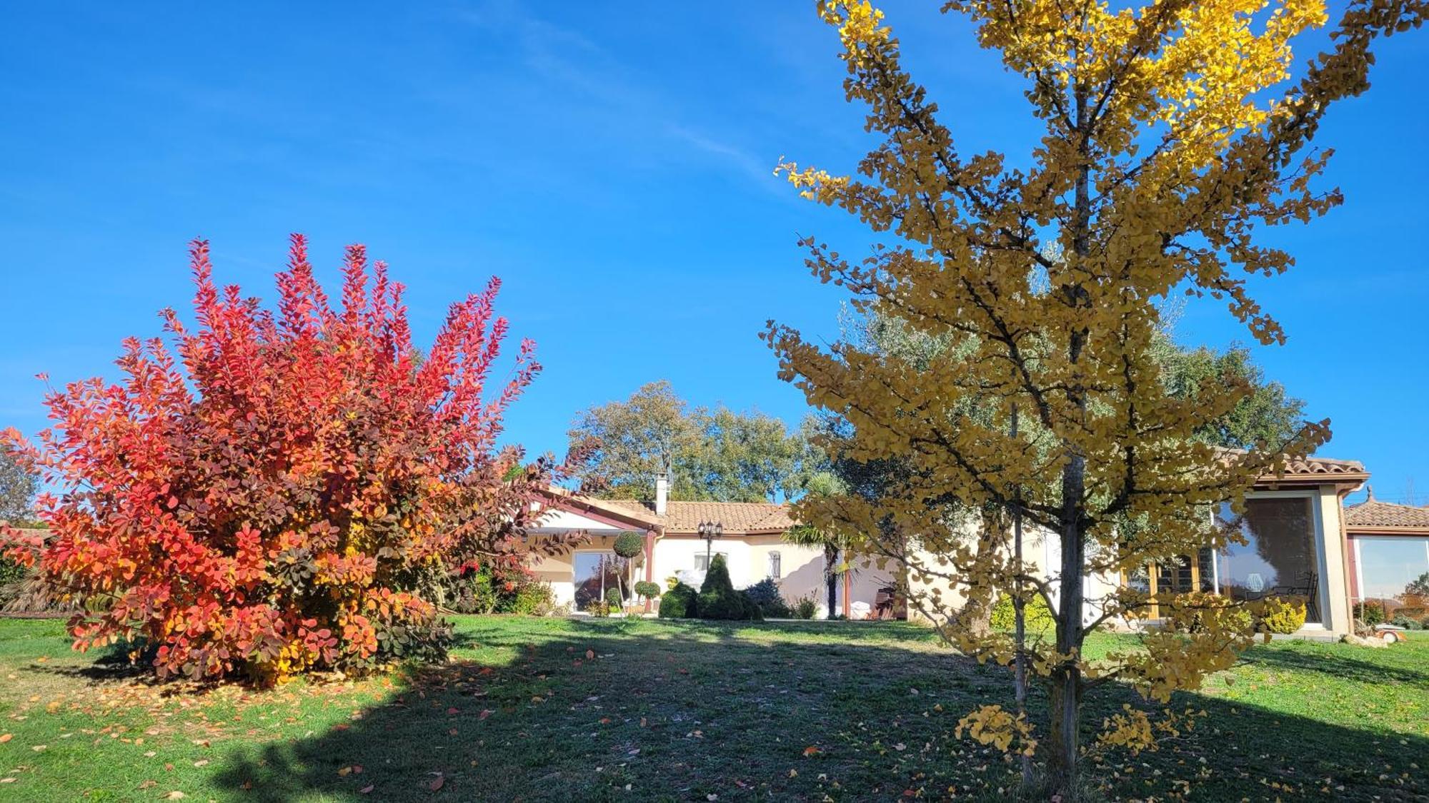 LE CLOS CASTEL -Chambre d'hôtes - Gîte équipé Casteljaloux Exterior foto